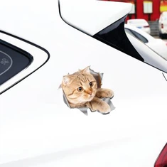 Obtisky dveří do auta